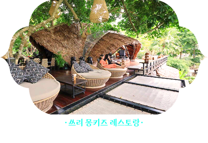 쓰리몽키스레스토랑